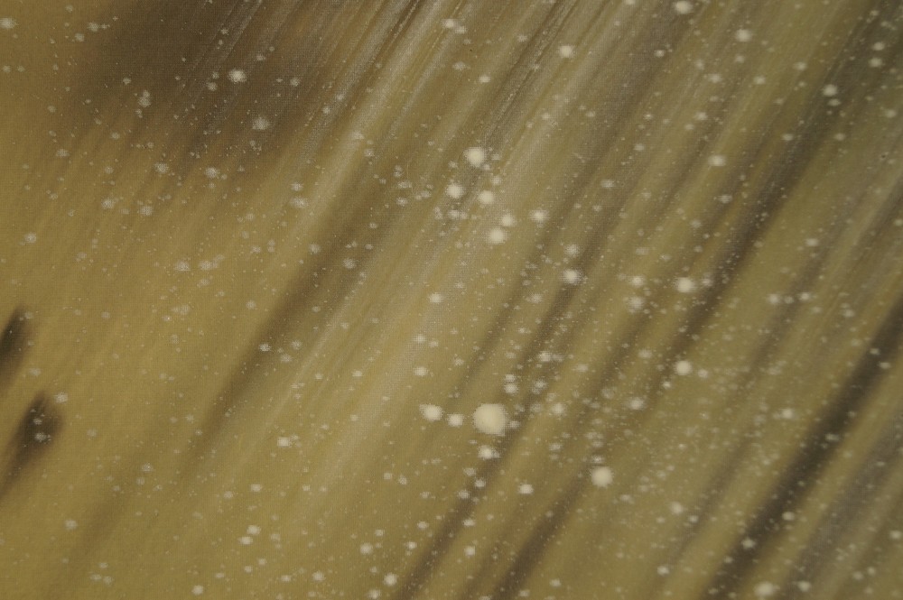 Koi am Wasserfall Kakemono Wasserfall Motiv Nahaufnahme
