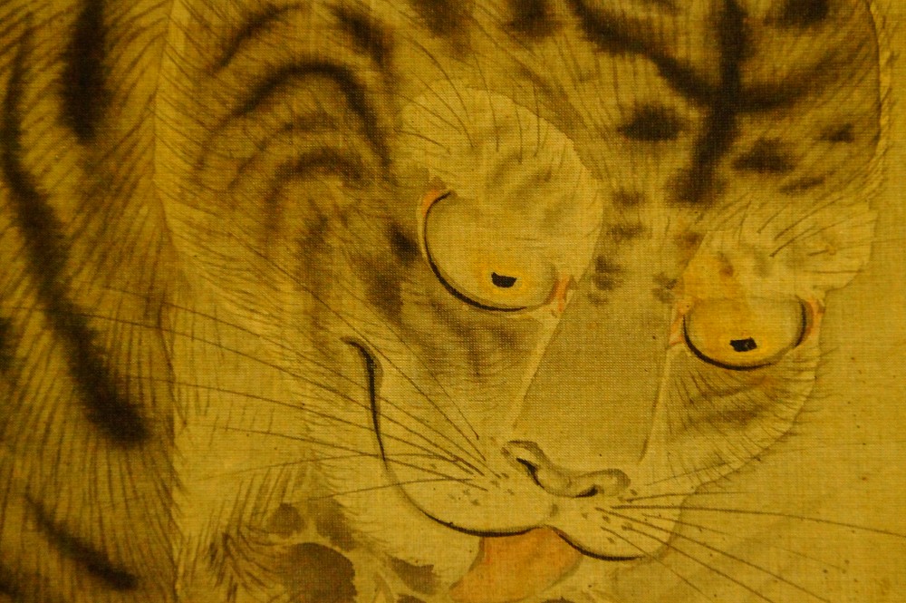 Nahaufnahme des Tigerkopfs von vorn mit beiden Augen und Schnurrhaaren