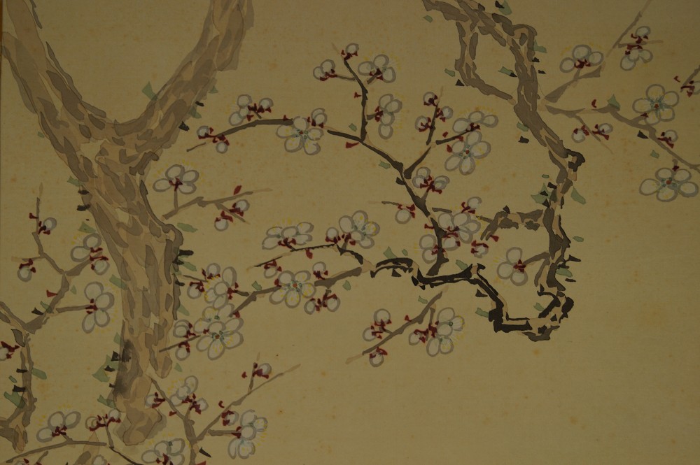 Sakura Bluetenzweig-Nahaufnahme 1