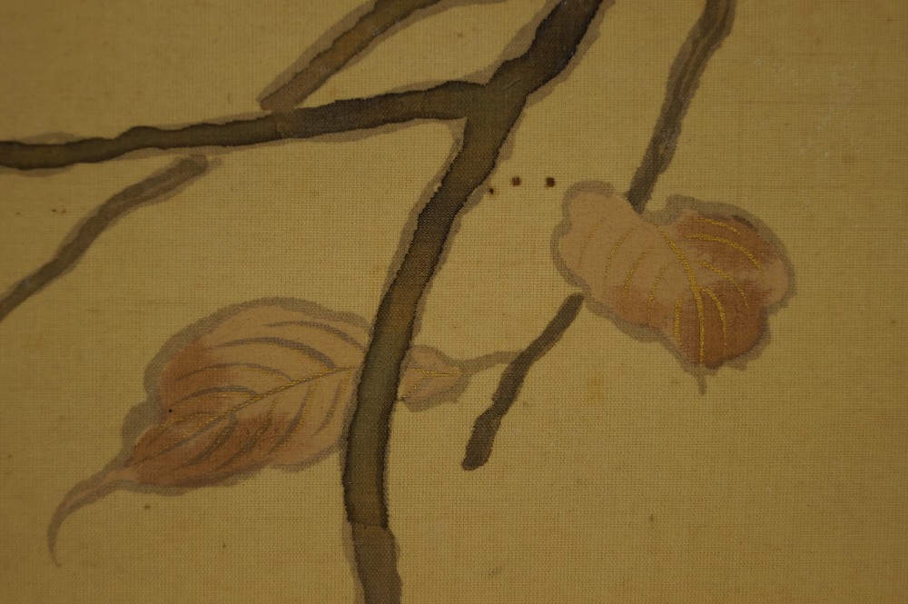 Beauty in Autumn by Keisen Landscape Close-Up 2