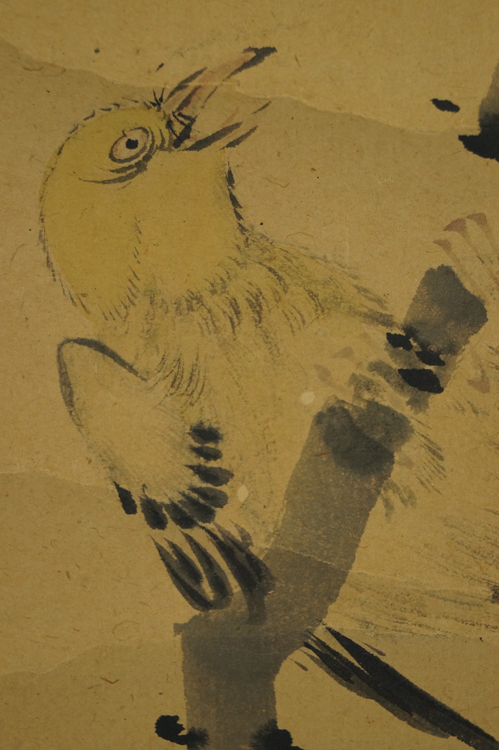 Kakemono Blumen Vogel Motiv Nahaufnahme
