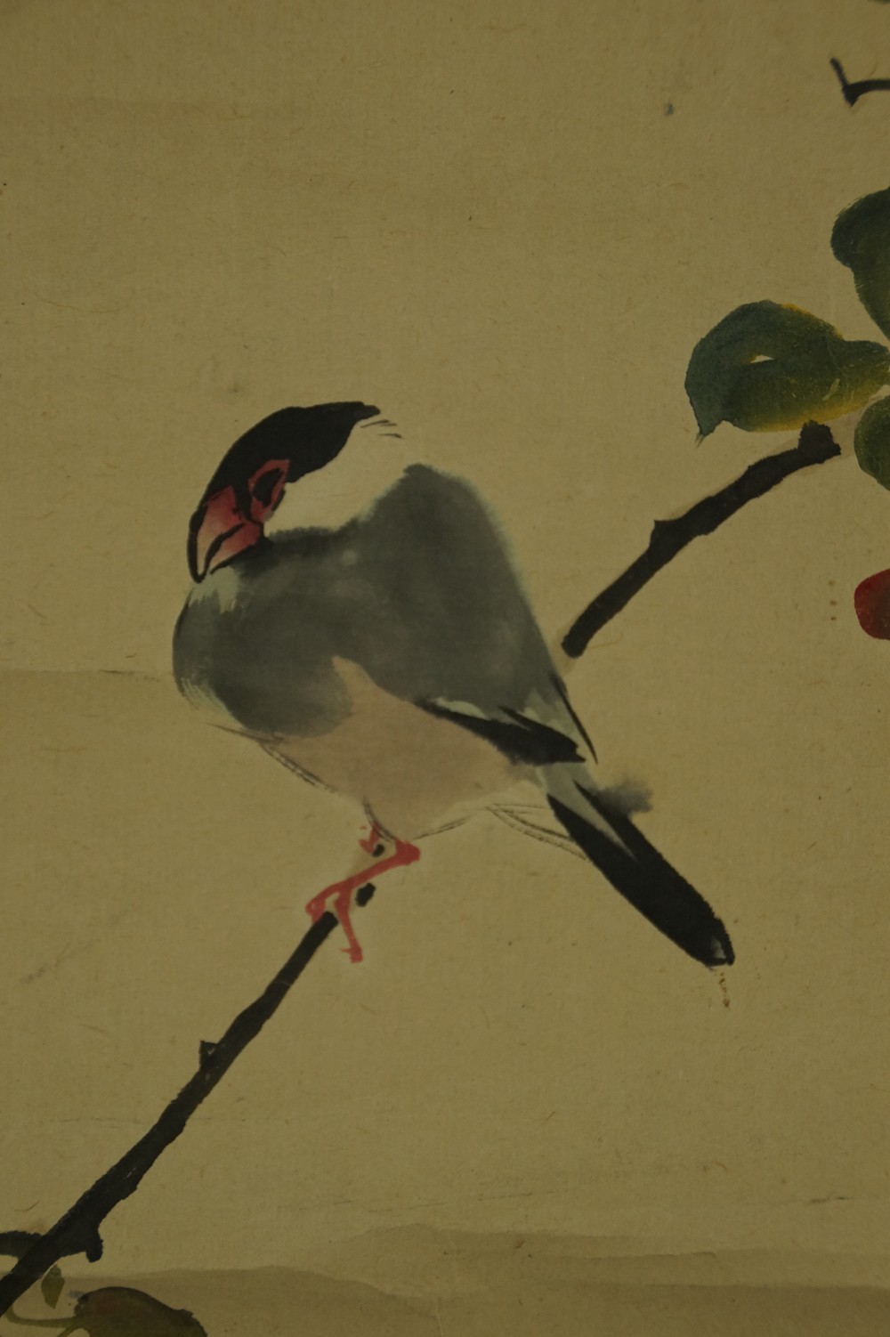 Vogel auf einem Rosenzweig Vogel Motiv Nahaufnahme 3