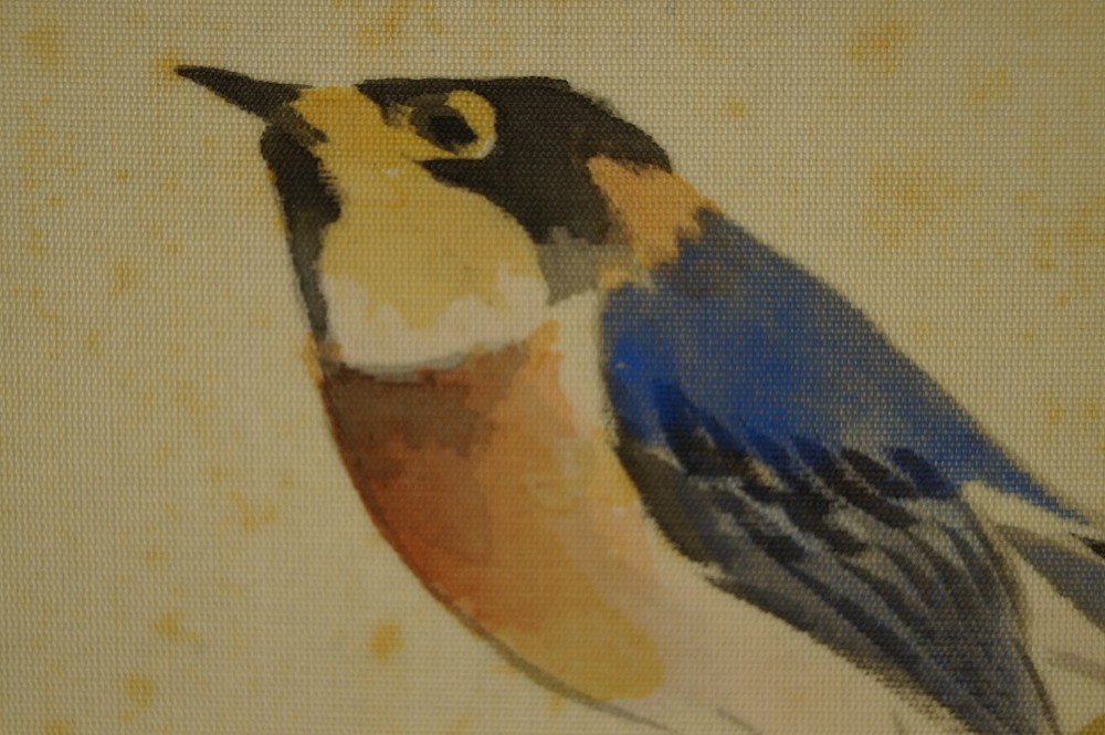 Vogel am Ahornzweig von Suma Natsugo Vogel-Motiv Nahaufnahme 2