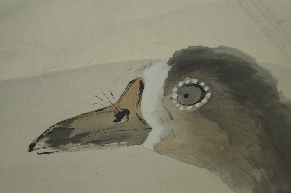 Wilde Gans Rollbild Kakejiku Kakemono Motiv Nahaufnahme 2
