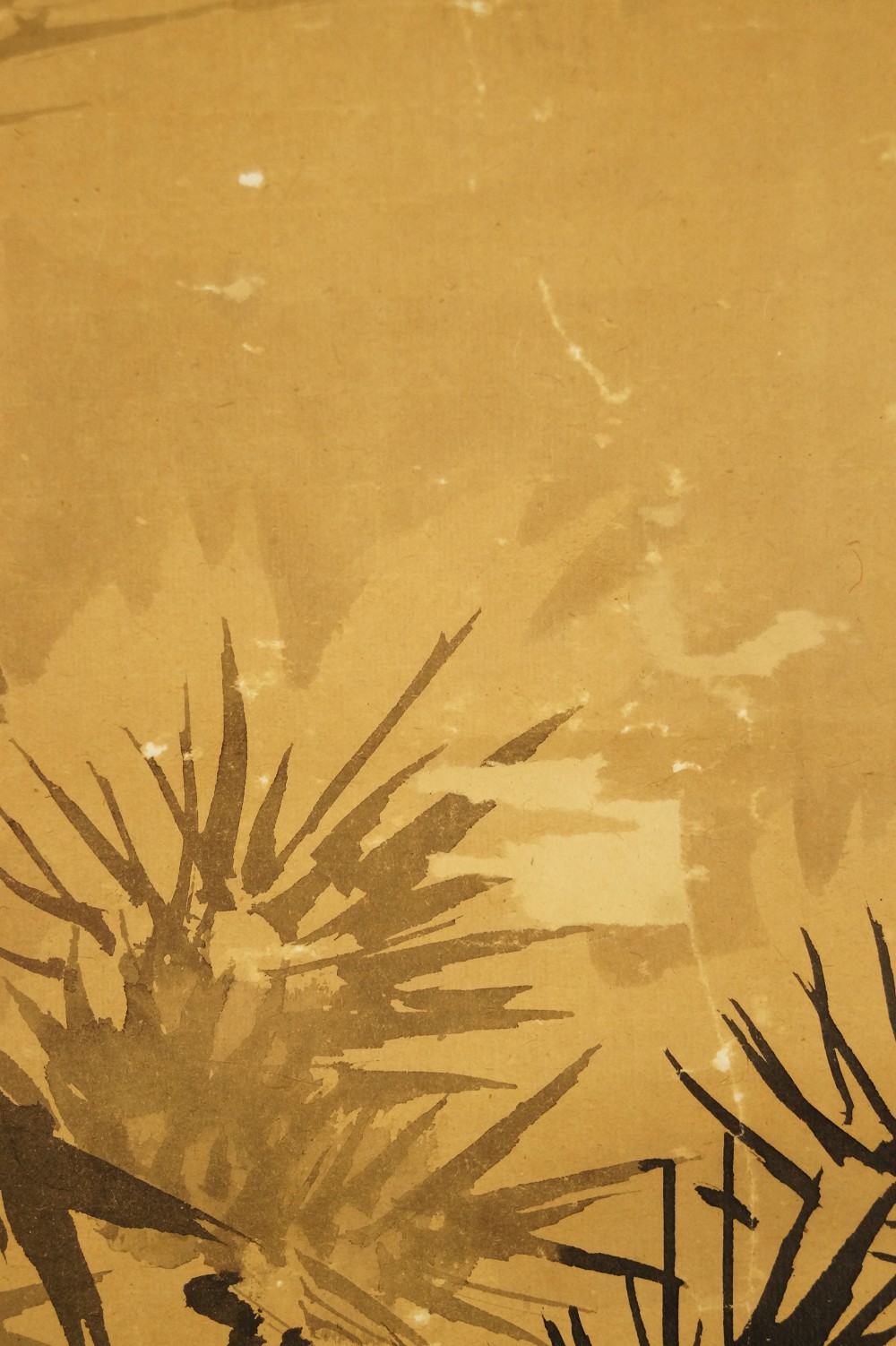 Vogel auf einer Kiefer Tanaka Koga Kiefer Motiv Nahaufnahme