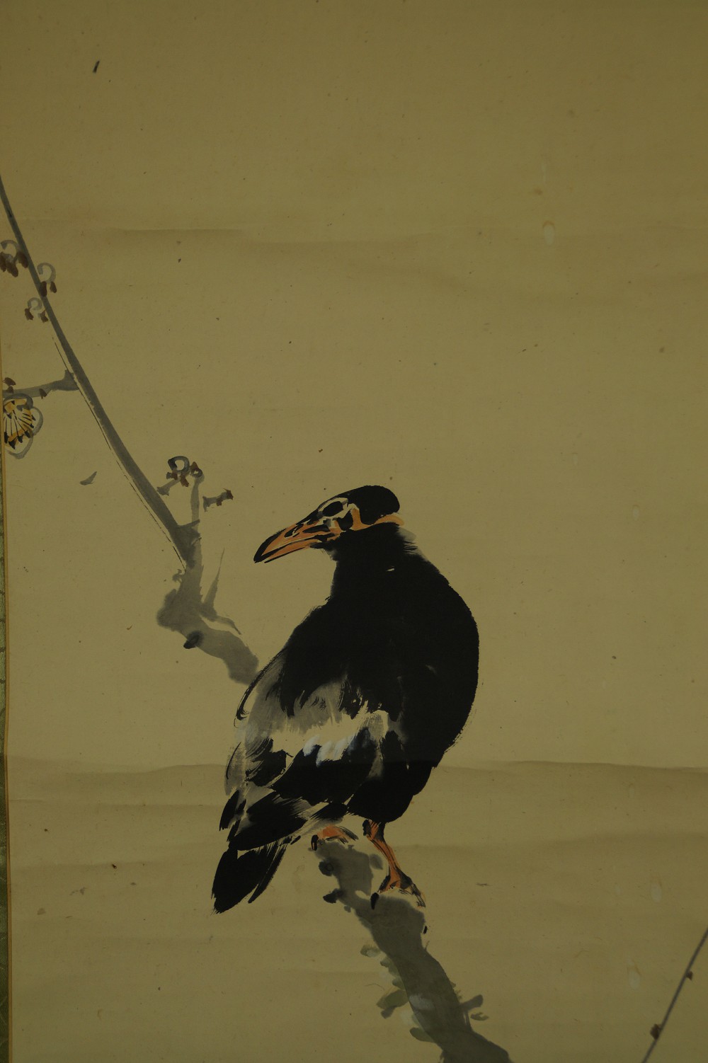Corbeau sur une branche de prunier gros plan sur le motif du corbeau