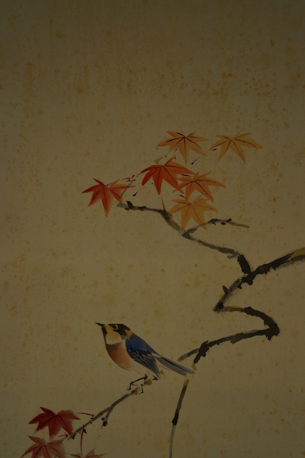 Vogel am Ahornzweig von Suma Natsugo Vogel-Motiv Nahaufnahme 1