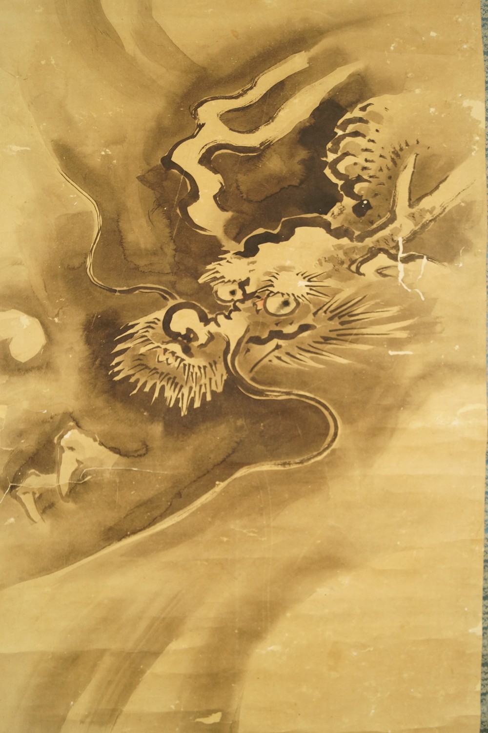 Zorniger Drachenkopf Tanaka Koga Drache Motiv Nahaufnahme