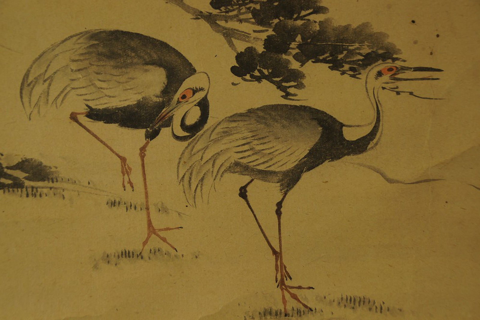Zwei Kraniche in Tusche unter einem Kiefernzweig auf goldgetöntem Papier, Detail eines japanischen Rollbilds