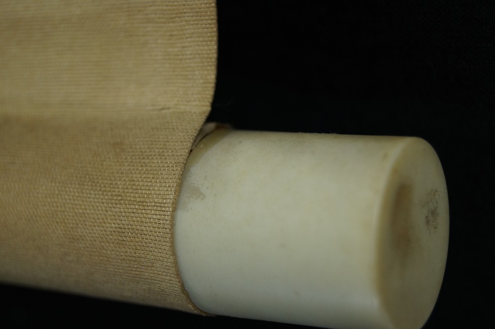 Schwertlilien Rollendetail