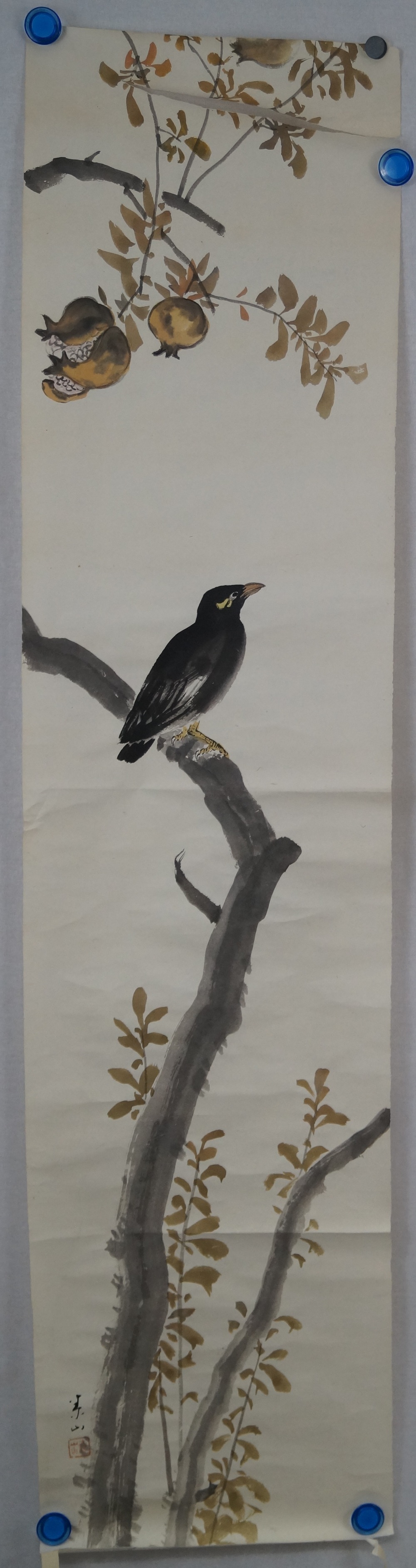 L'oiseau au grenadier Makuri motif complet sans montage