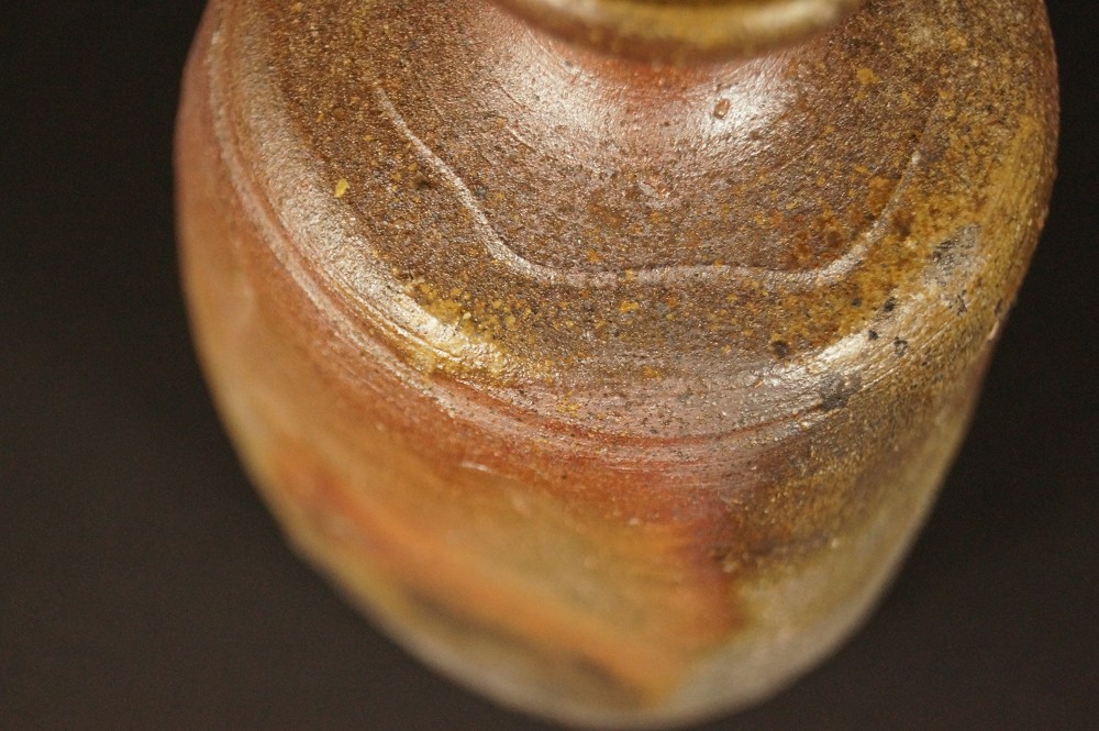Bizen Tokkuri von Harada Totsuki Motiv Nahaufnahme