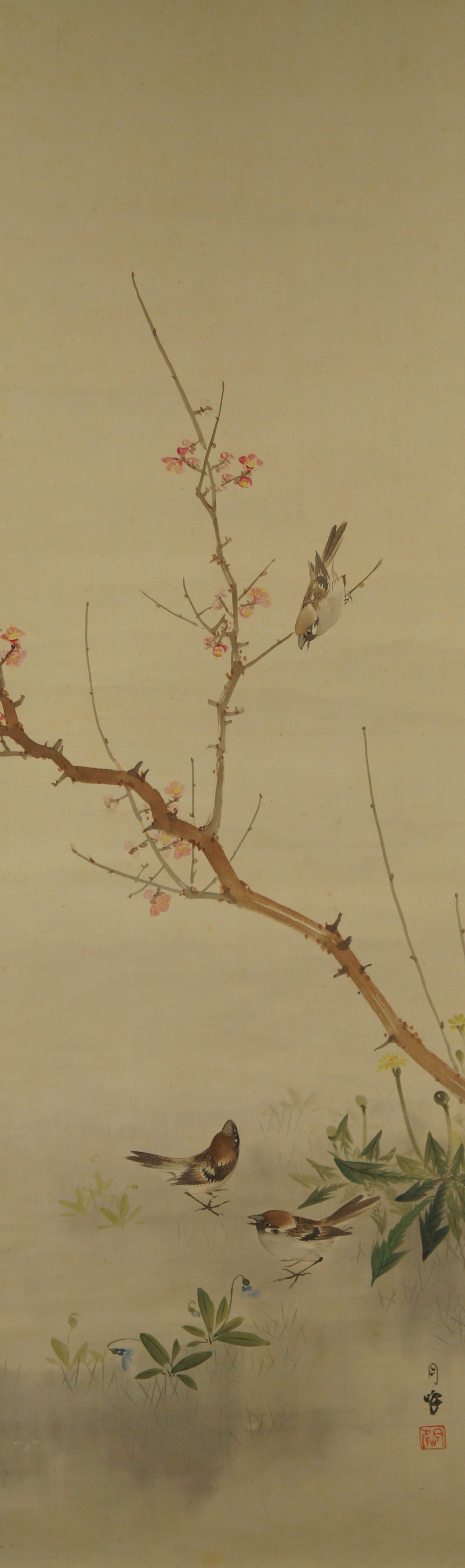 Moineaux sur une branche de prunier motif complet sans montage