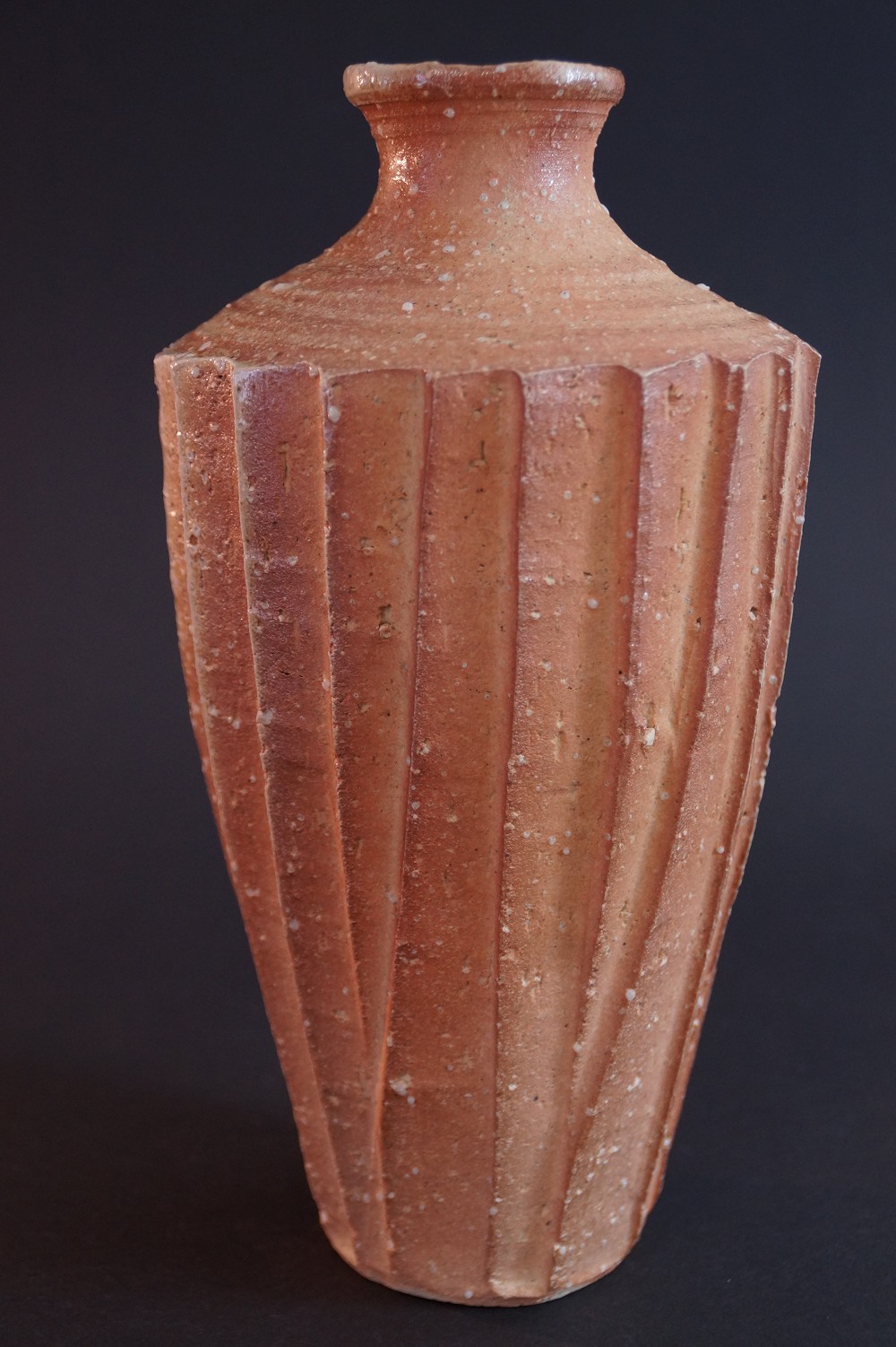 Shigaraki Vase von Takahashi Rakusai Seitenansicht 1
