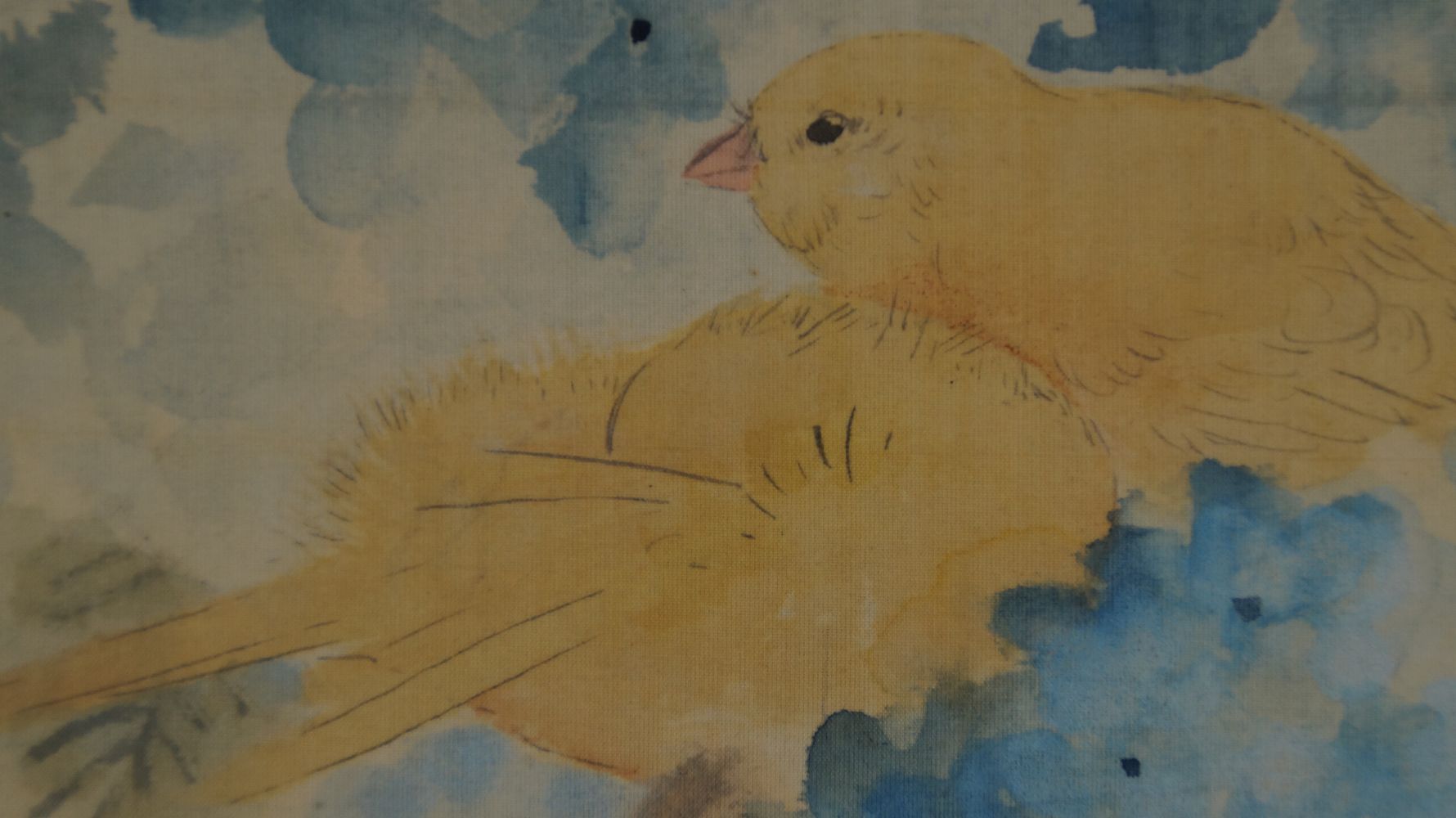 Extreme Nahaufnahme des Kopfes eines der gelben Voegel im Kakemono Hortensien im Fruehsommerlicht