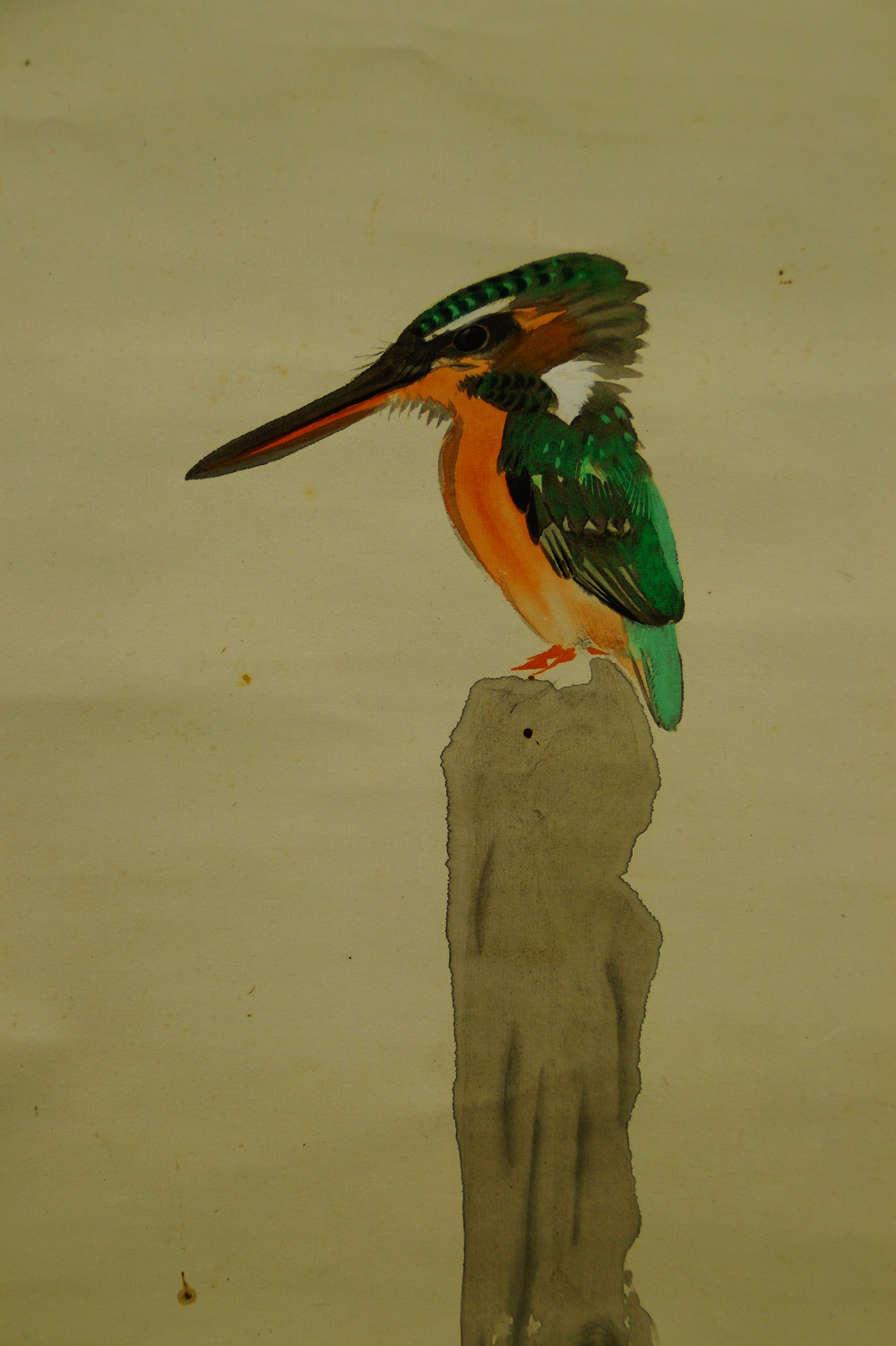 Eisvogel am Fluss von Daiya Eisvogel-Motiv Nahaufnahme