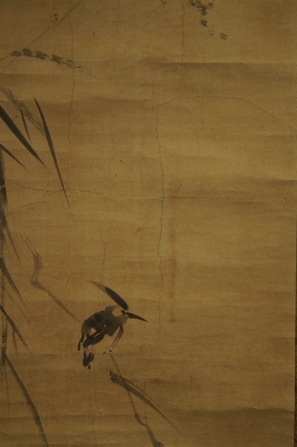 Vogel Motiv Nahaufnahme 1