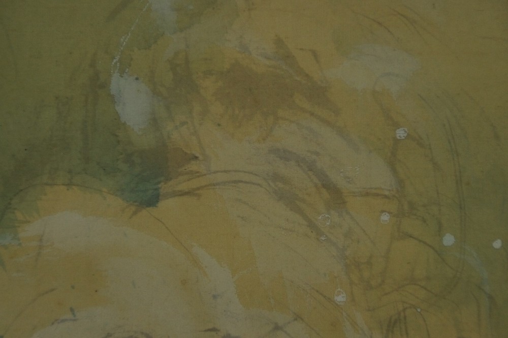 Springender Fisch am Wasserfall von Taizan Tatewaki Wasserfall Motiv Nahaufnahme 2