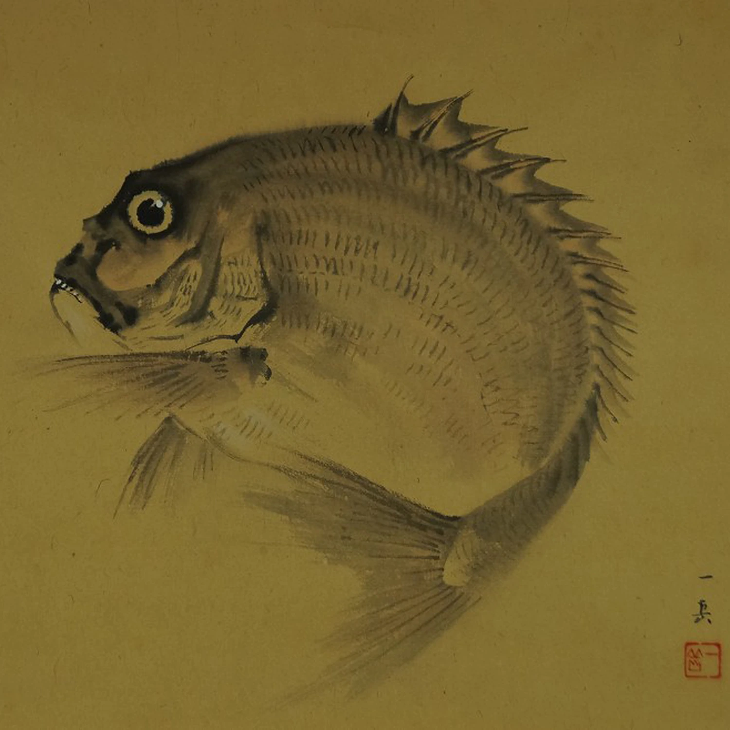 Goldbrasse von Ichigaku Hatano Motiv Nahaufnahme Vorschau