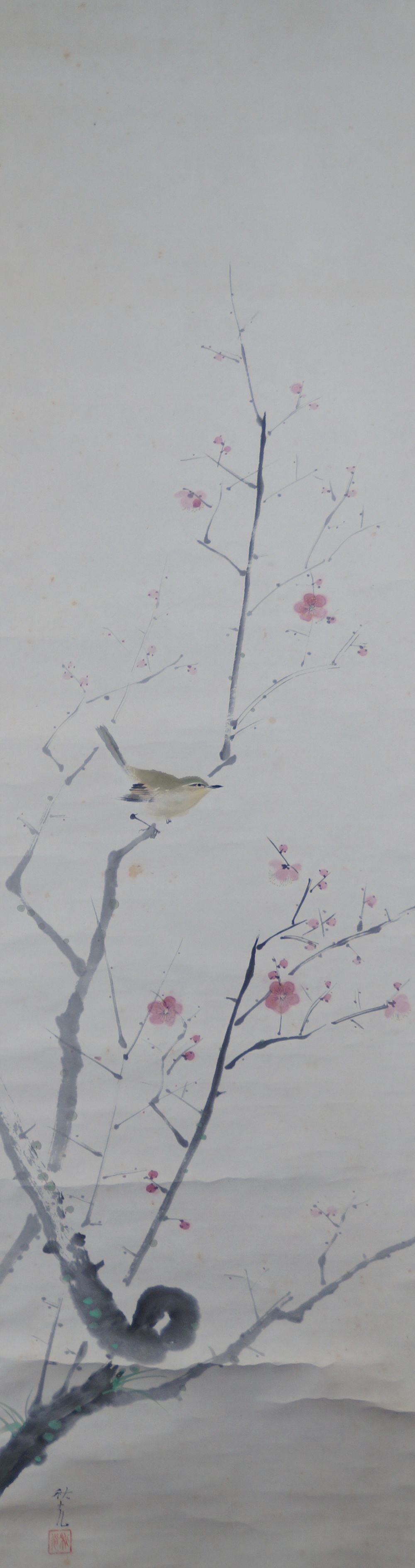 Nachtigall auf bluehendem Pflaumenast von Yoshida Shuko mit rosa Pflaumenblueten vor moosbewachsenem Astwerk