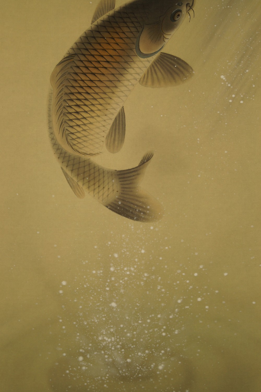 Koi am Wasserfall Kakemono Koi Motiv Nahaufnahme 2