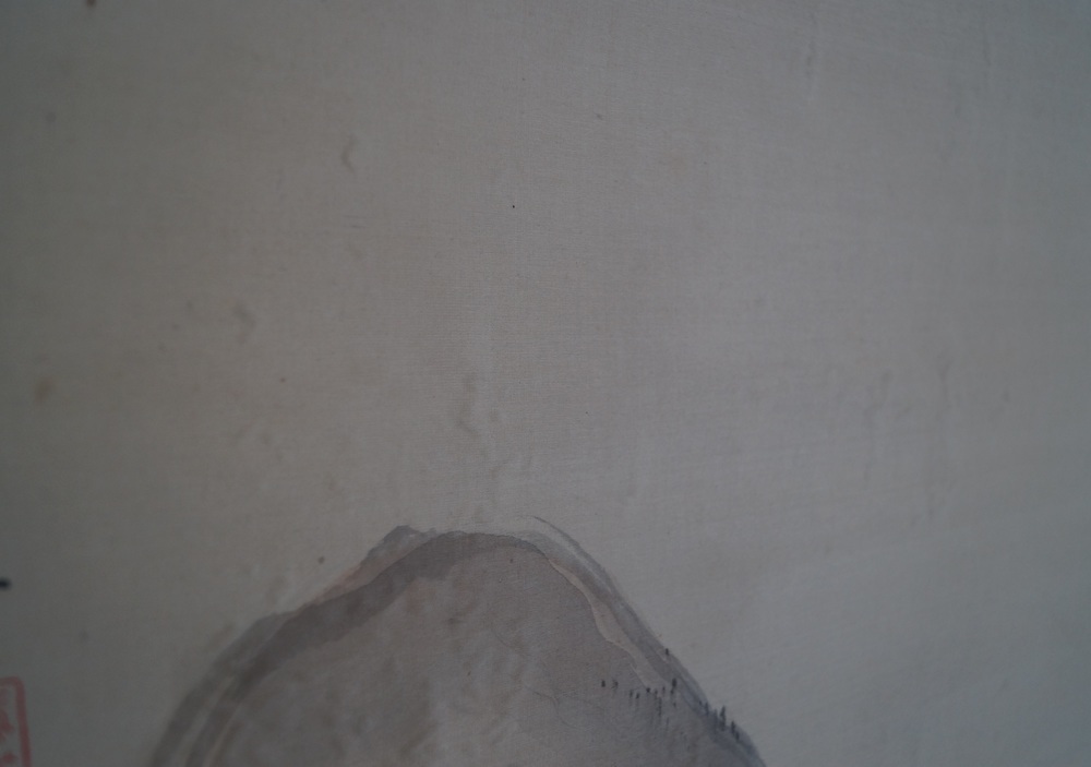 Paysage gros plan 2