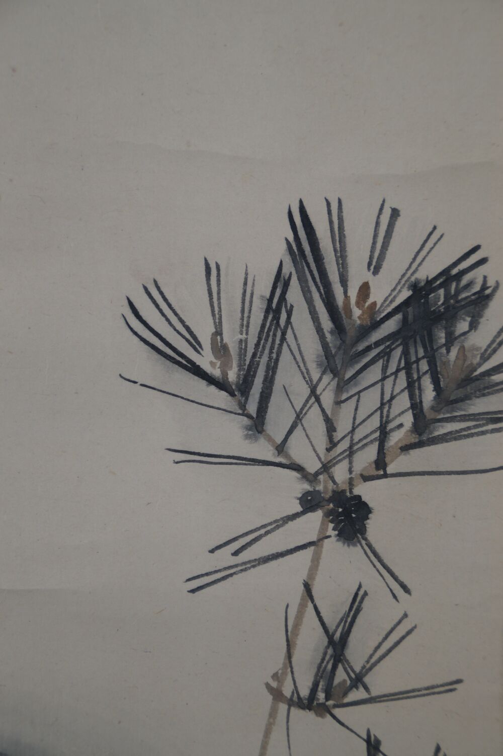 Close-up of the pine branch with needles and cones in the Kakemono Puppy in the Evening Glow Beneath Pines