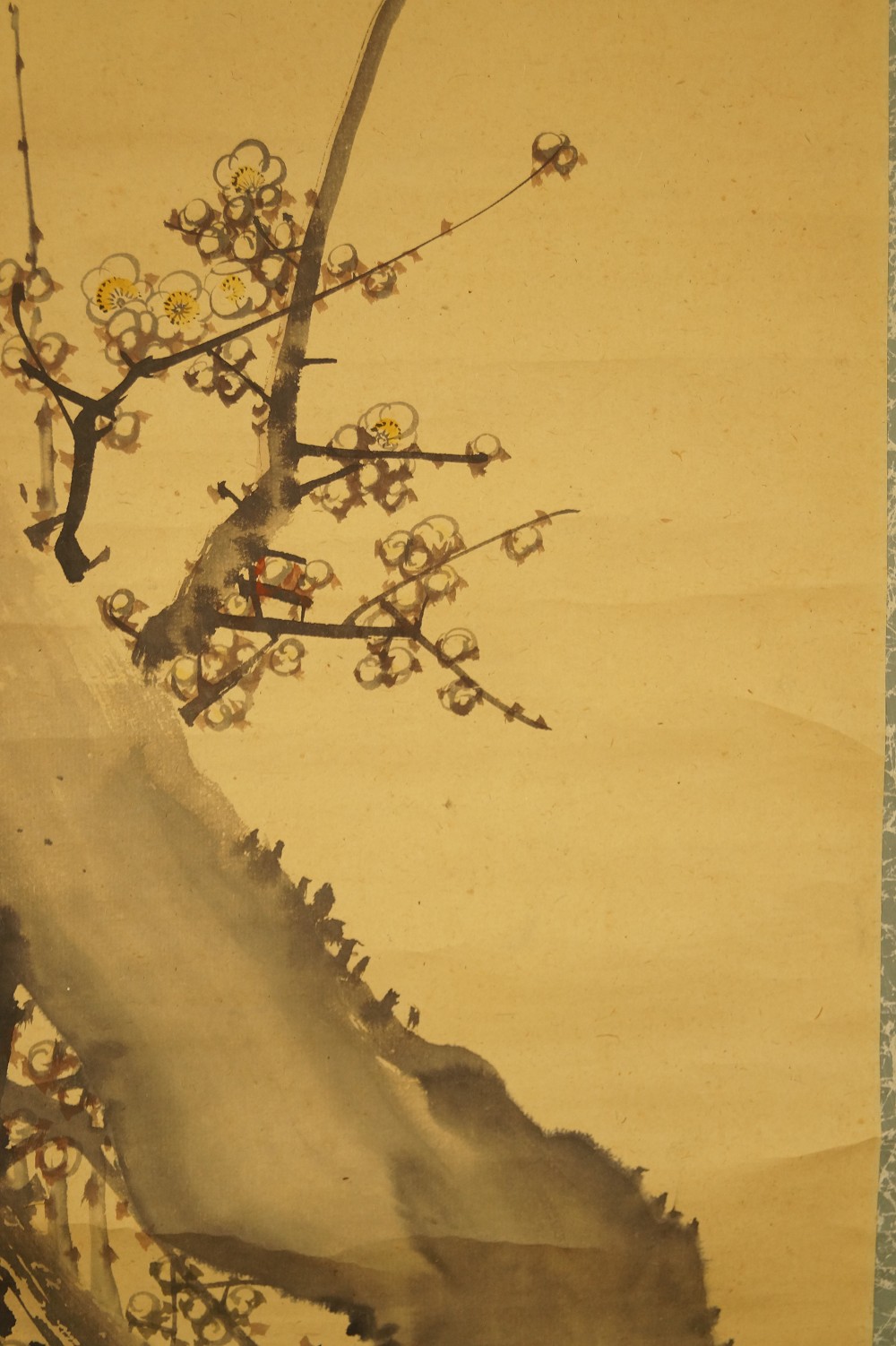 Sakura Pflaumenbluete Nahaufnahme 1