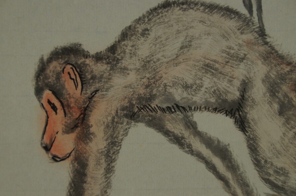 Close-up of the monkey's fur with ear and suggested claws