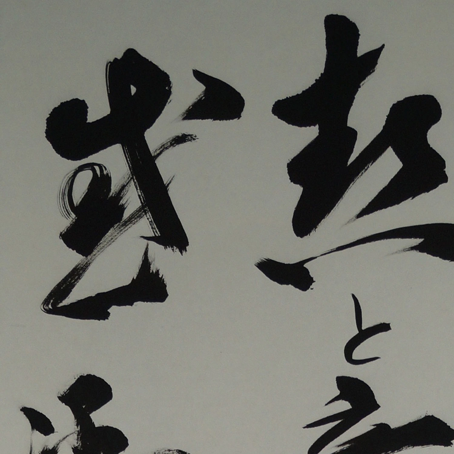 Bodhidharma Daruma Kakejiku Motiv Nahaufnahme Vorschau