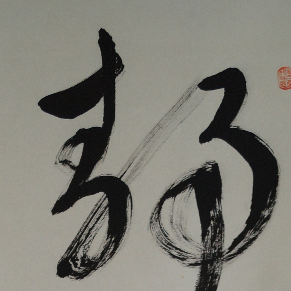 Bodhidharma Daruma Kakejiku Motiv Nahaufnahme Vorschau