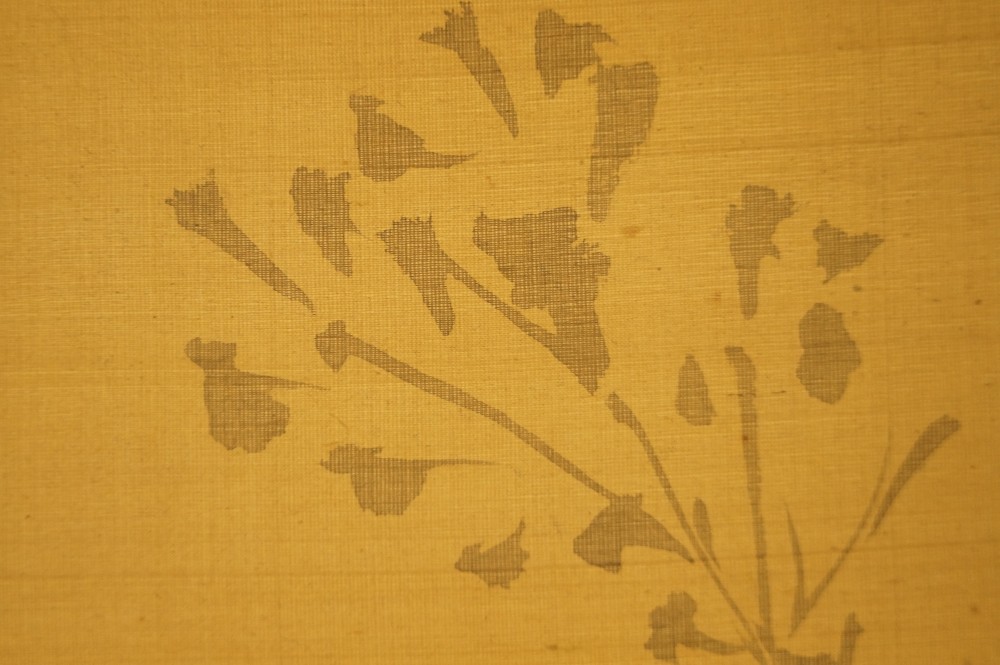 Herbes et fleurs peintes avec finesse motif d'herbes gros plan