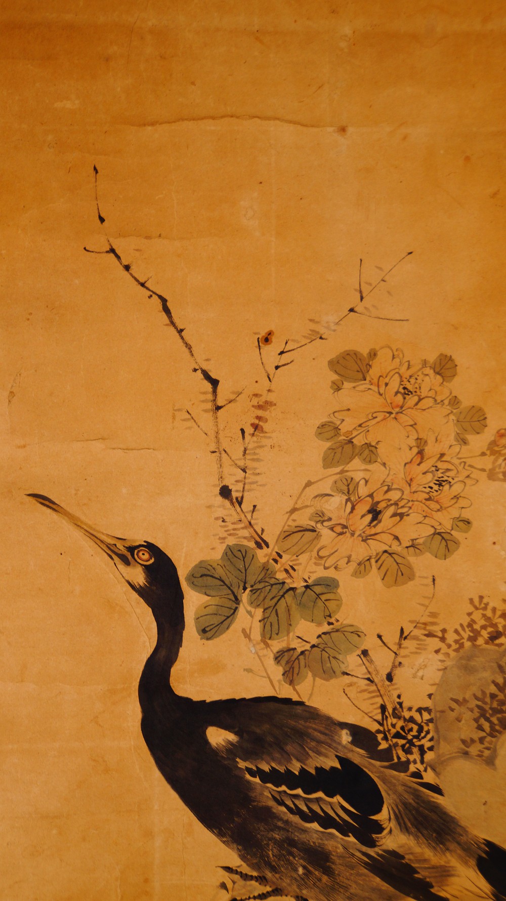 Nahaufnahme des Reiherkopfes und Halses vor Chrysanthemenblaettern im Kakemono Reiher auf Fels mit Chrysanthemen von Yamamoto Baiitsu