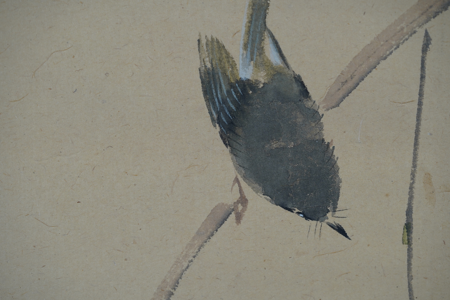 Nahaufnahme des Vogels am Weidenzweig im Kakemono