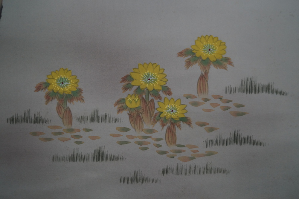 Vogel und Blume Chrysanthemen Nahaufnahme
