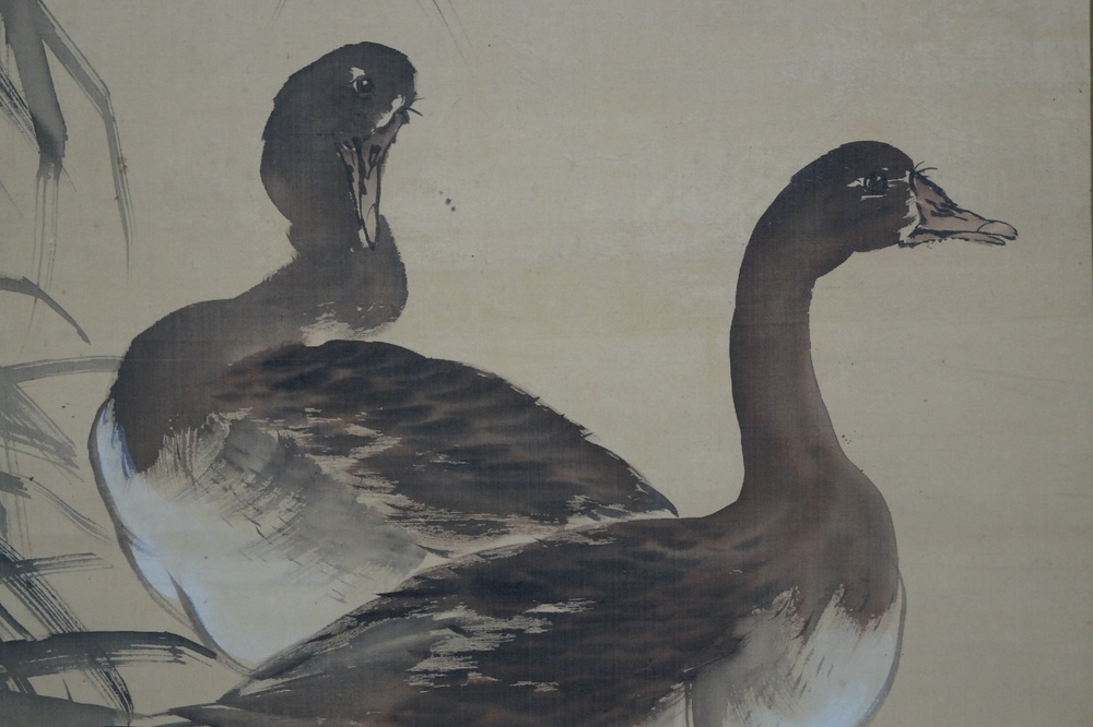 Zwei Enten Rollbild Koepfe-Motiv Nahaufnahme