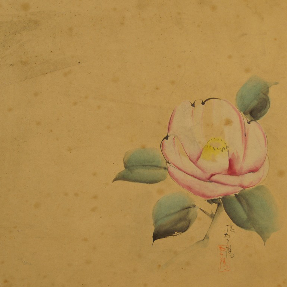 Shikishi Rose Motiv Nahaufnahme Vorschau