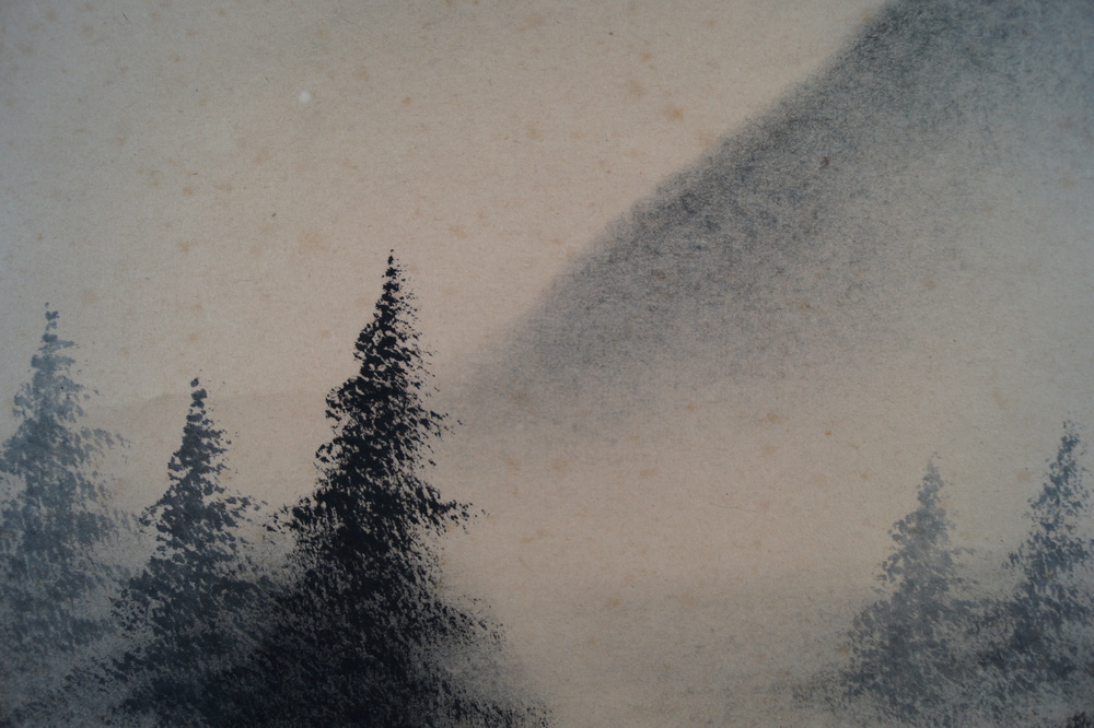 Landschaft mit Berghuetten im Nebel Nahaufnahme der Tannen im Nebel Landschaft Nahaufnahme 4