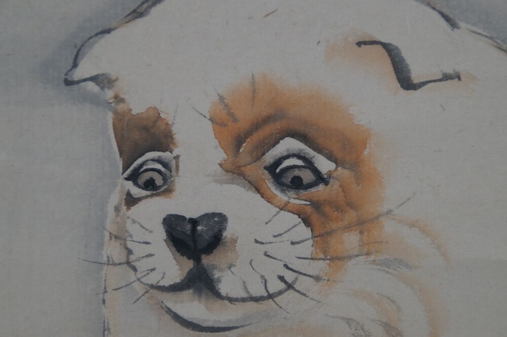 Close-up of the puppy's head with brown and white fur in the hanging scroll Puppy in the Evening Glow Under Pines