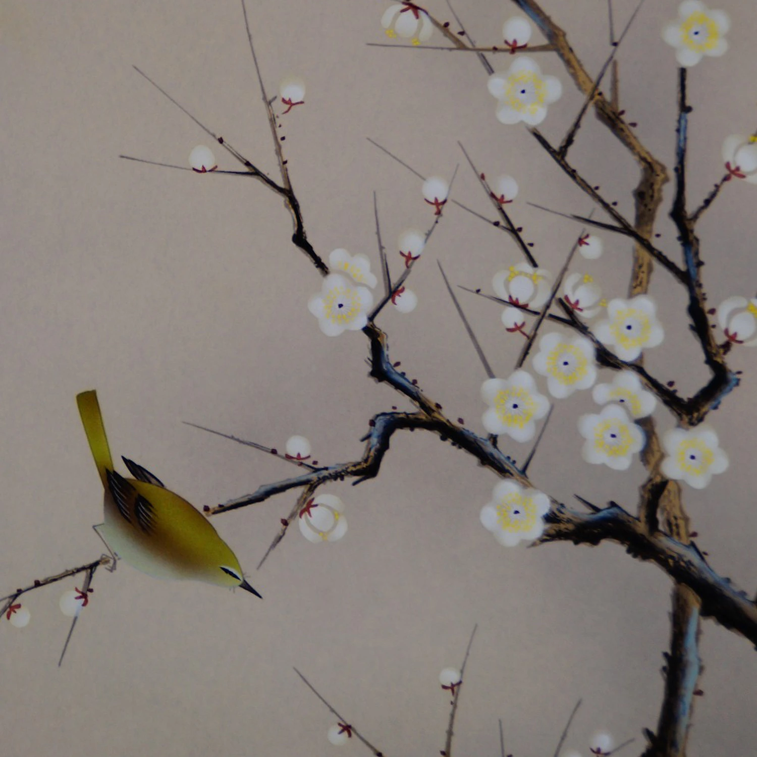 Fruehlingszweig mit Vogel Kakemono von Arii Shoun Motiv Nahaufnahme Vorschau
