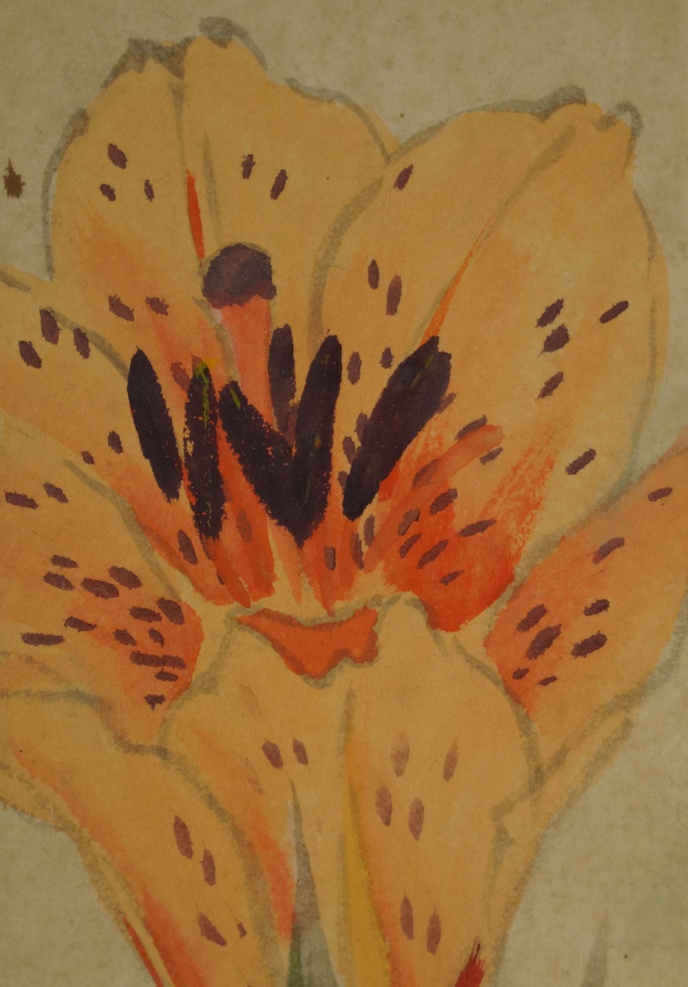 Orange Lily Blossom Motif Close-Up