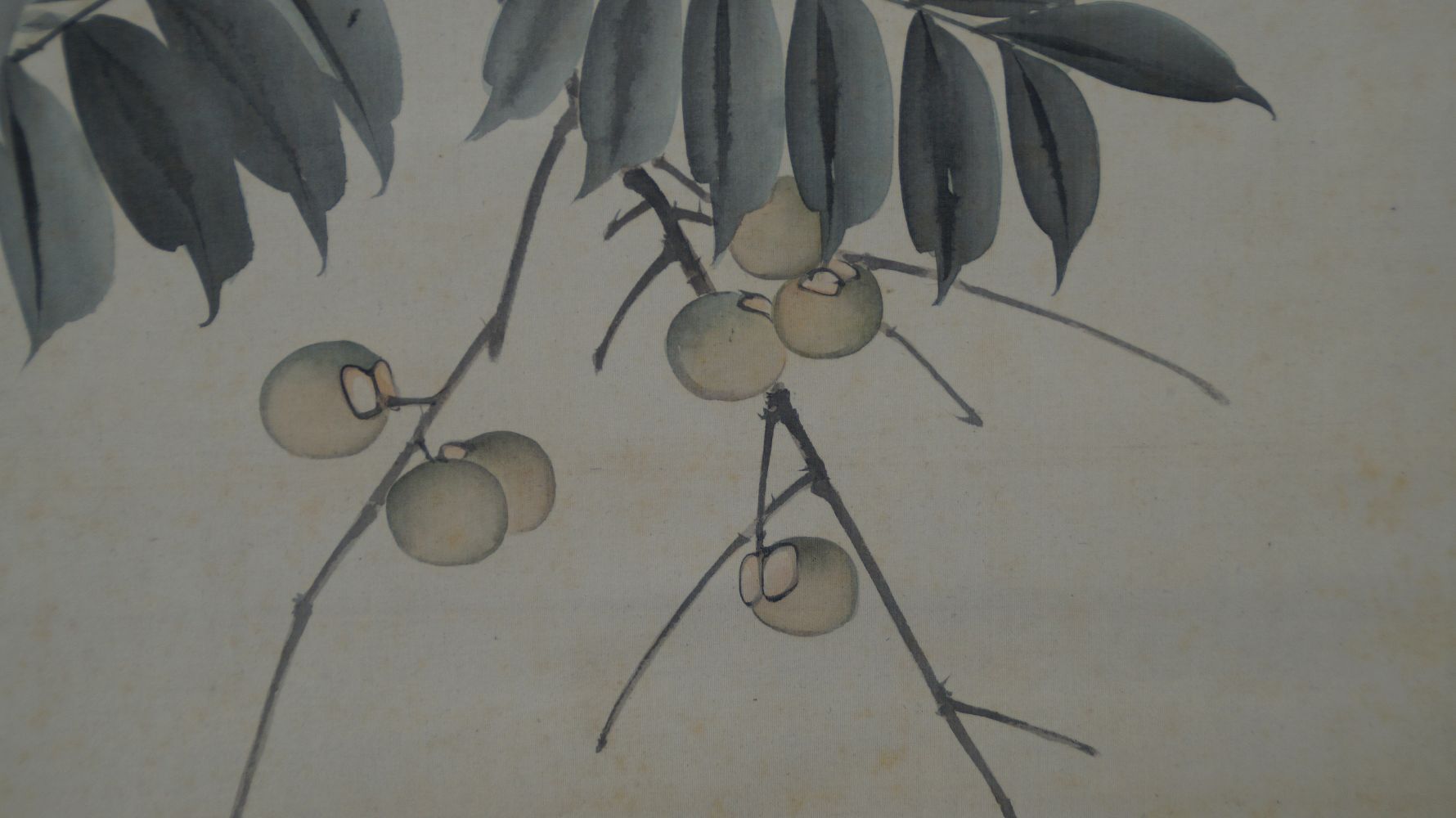 Autre gros plan sur les fruits pendants de l'arbre fruitier dans le kakemono Oiseau sur un arbre fruitier