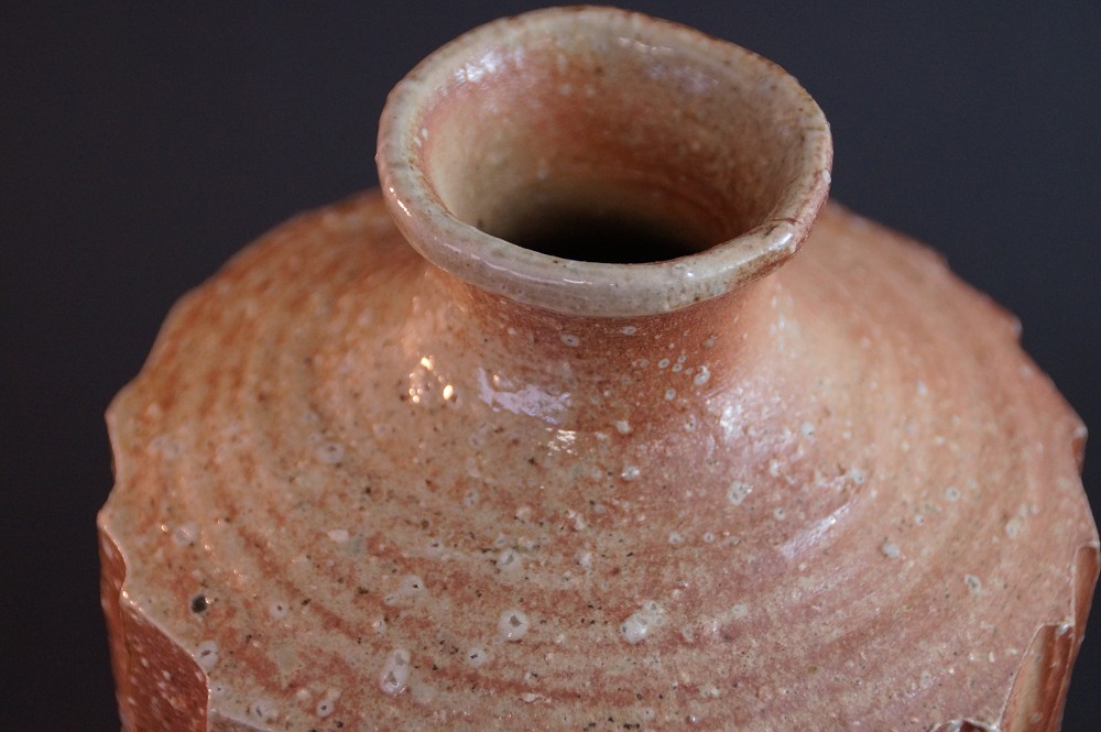 Shigaraki Vase von Takahashi Rakusai Halsansicht Nahaufnahme
