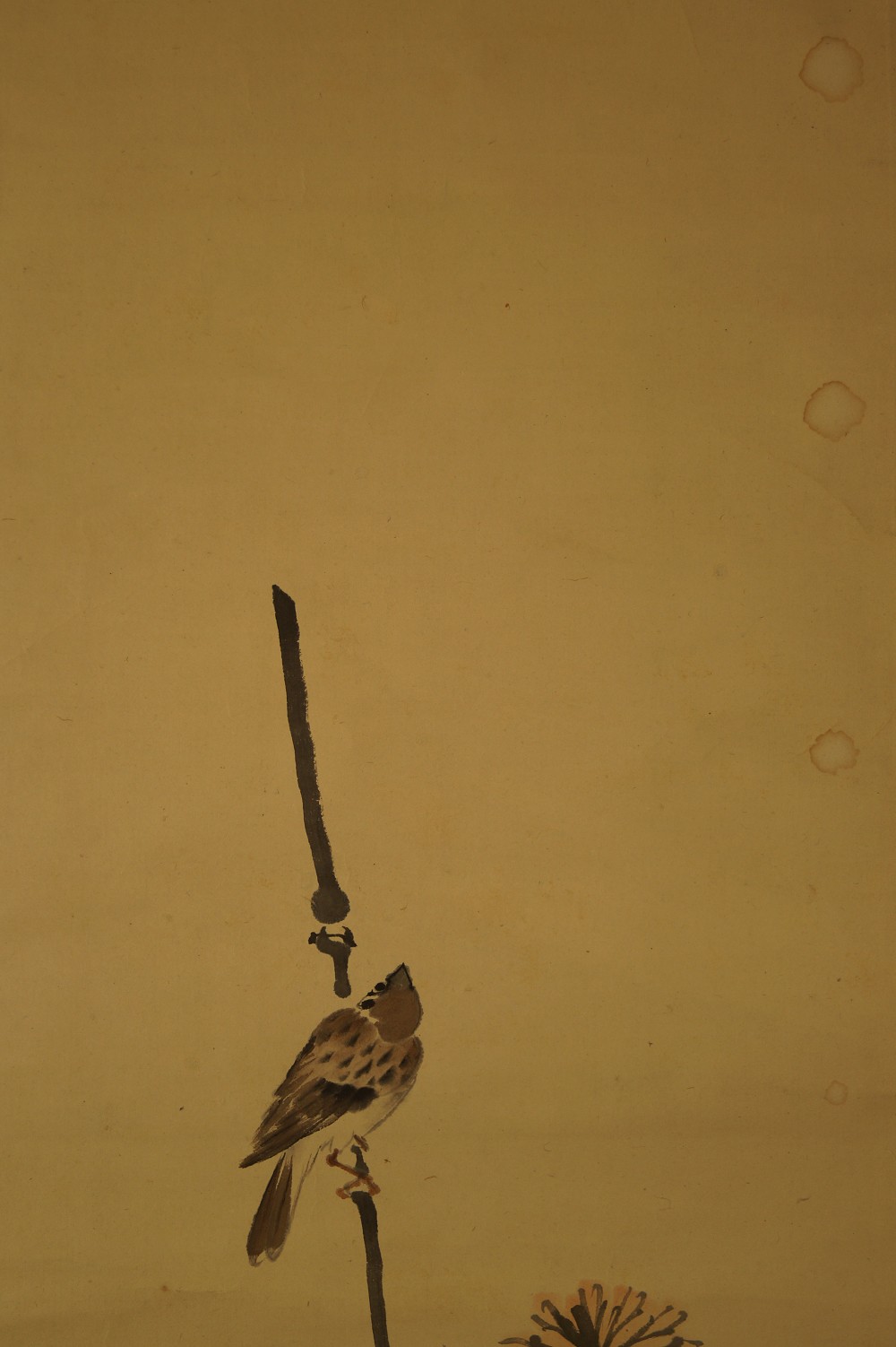 Kakemono Moineau Gros plan 1 sur le motif du moineau