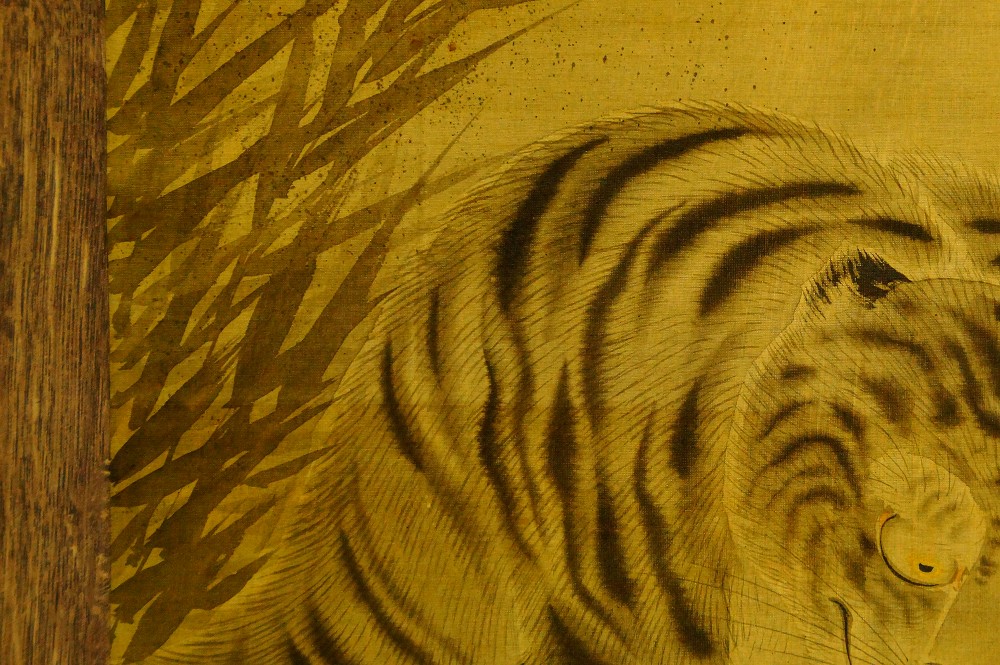 Weitere Nahaufnahme des gestreiften Tigerkopfs mit Ohr und Wangenzeichnung