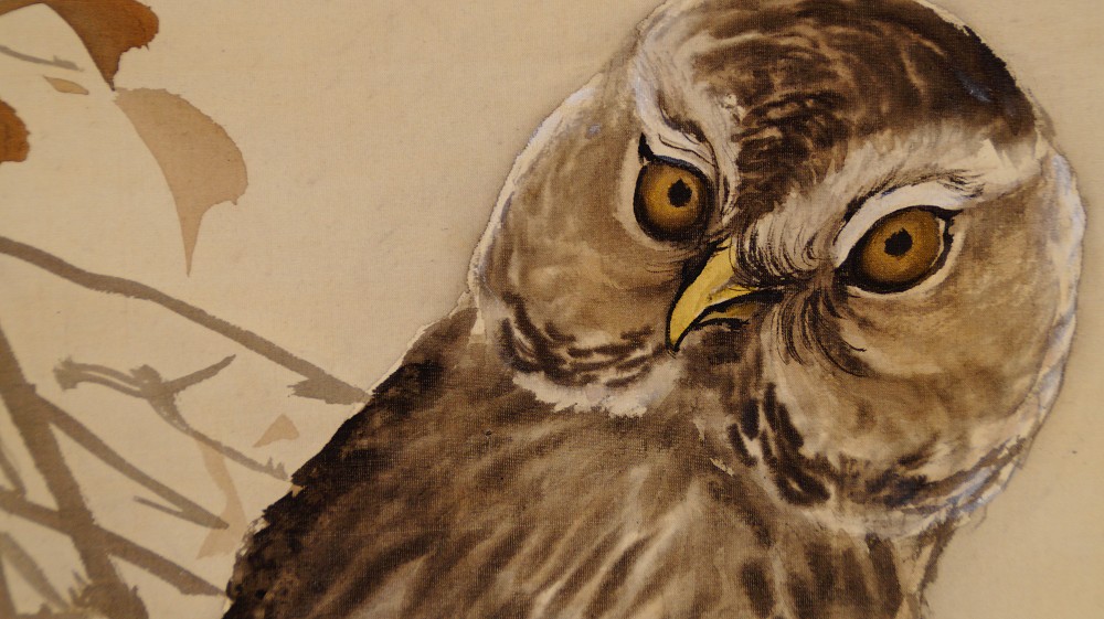Extreme Nahaufnahme des Eulengesichts mit den markanten gelben Augen im Kakemono Eule und Spatzen von Nakajima Kaho