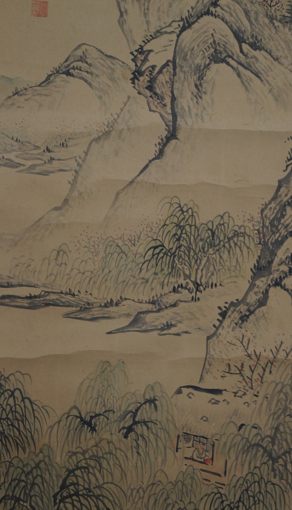 Paysage gros plan