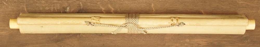 Spatzen an der Klippe zusammengerollt