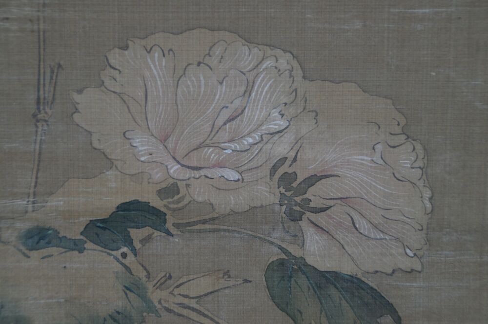 Gros plan des fleurs de pivoine en fleurs dans le rouleau suspendu Héron dans la splendeur silencieuse des pivoines