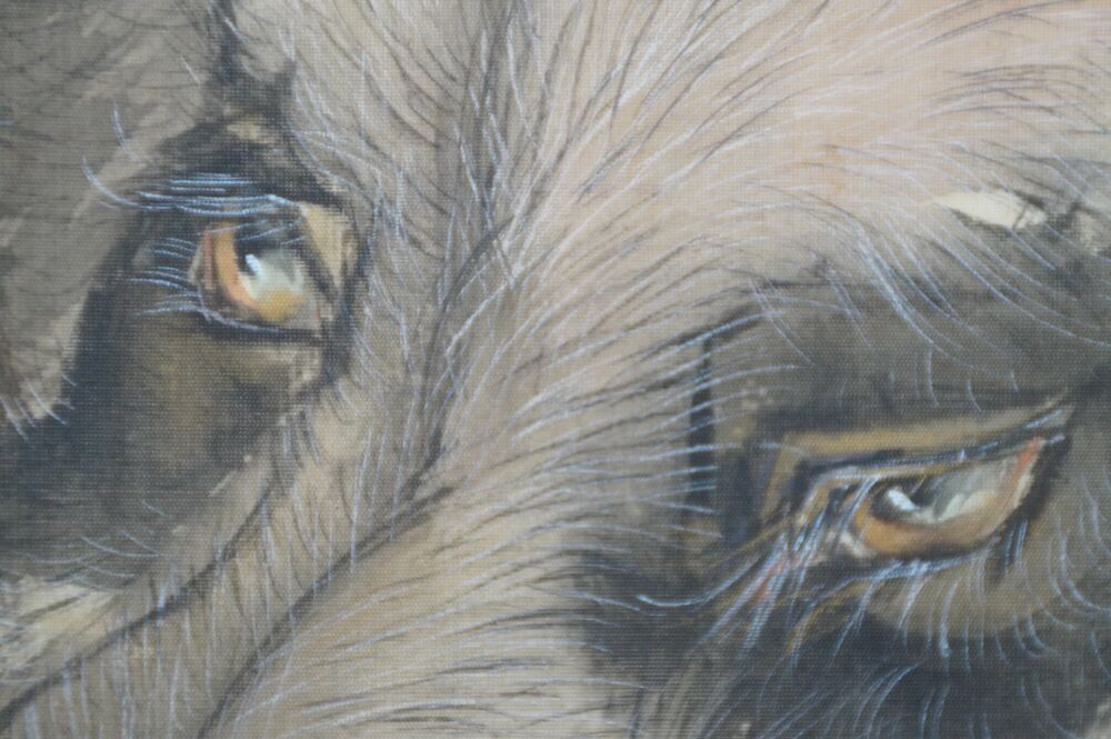 Extreme Nahaufnahme der Augen des Wildschweins im Kakemono Wildschwein im Herbstlaub